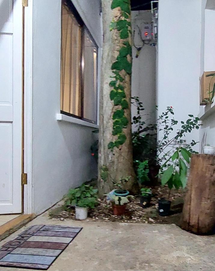 Villa Chungos Quebrada Ganado Zewnętrze zdjęcie